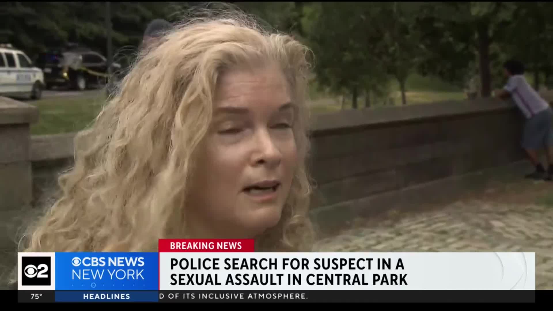 Central Park sex assault suspect on the run